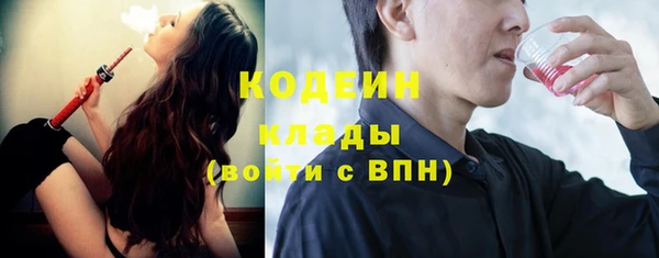 тгк Нея