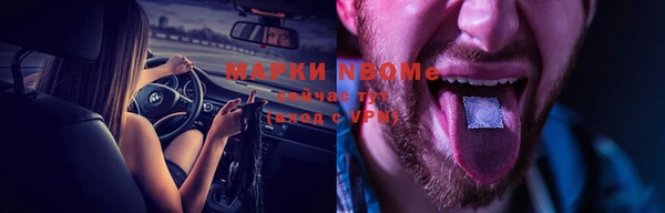 тгк Нея