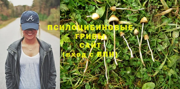 тгк Нея